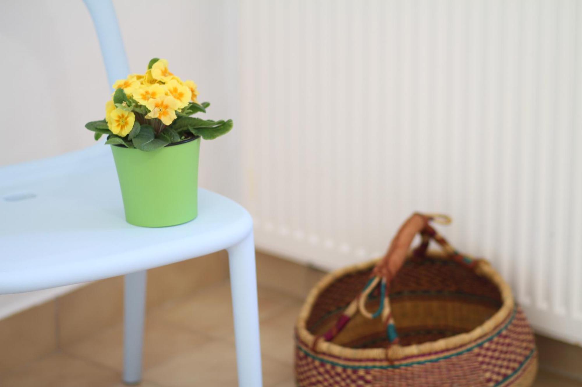 Apartament - Compartir Cadaqués Dış mekan fotoğraf